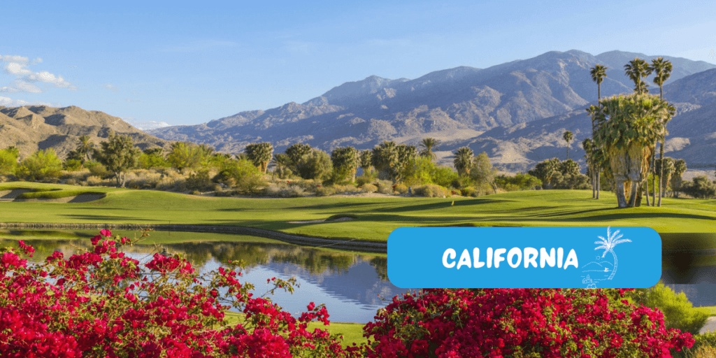 The Ultimate 2-Week Family Vacation Itinerary in California