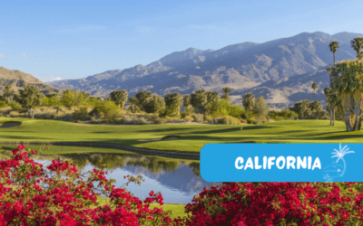 The Ultimate 2-Week Family Vacation Itinerary in California