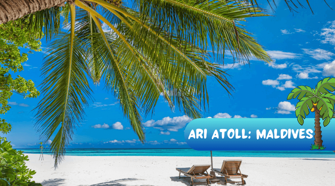 Discover Ari Atoll: A Family Paradise in the Maldives