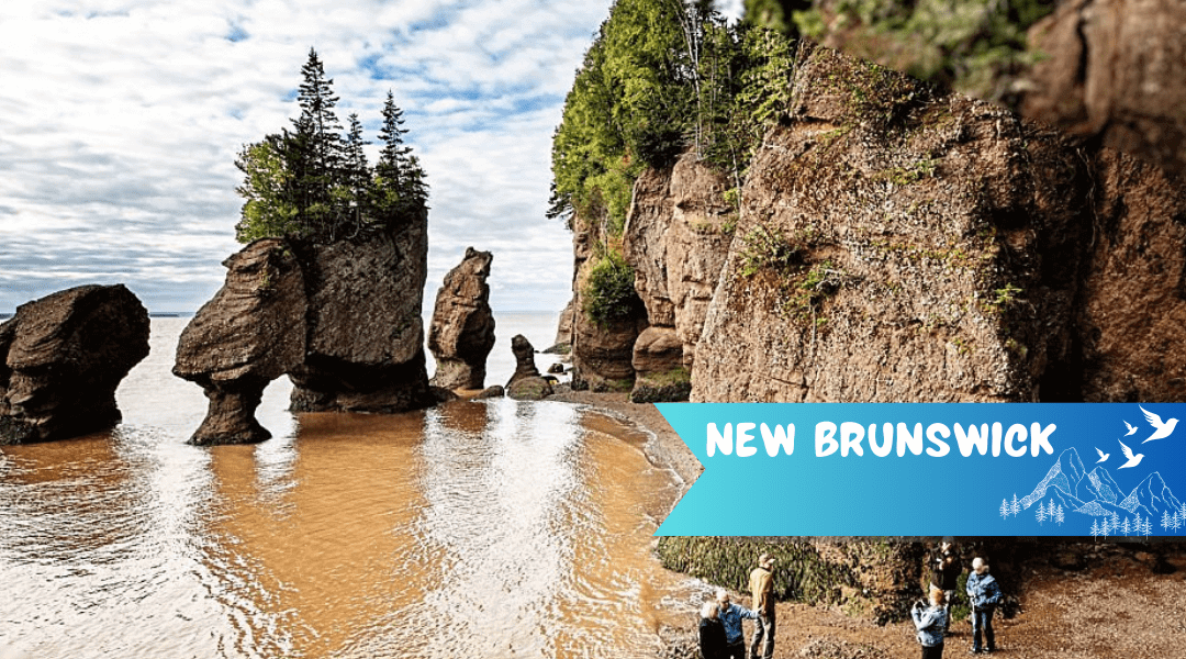 New Brunswick - The Ultimate Vacation Itinerary