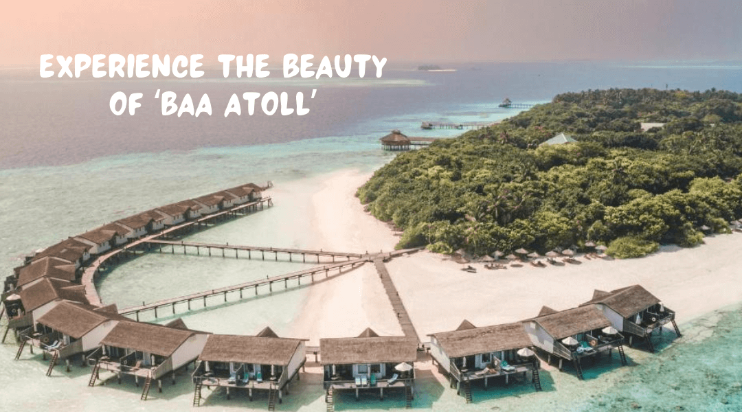 Experience the Beauty of Baa Atoll