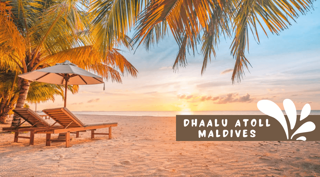 Experience Dhaalu Atoll: A Family Adventure in the Maldives