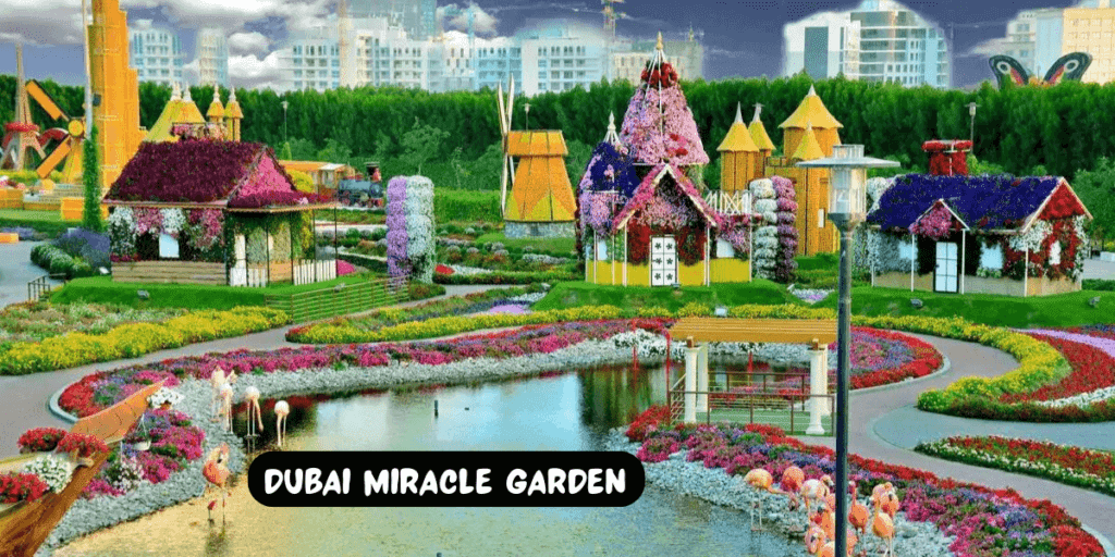 Discovering Dubai Miracle Garden: A Family Adventure