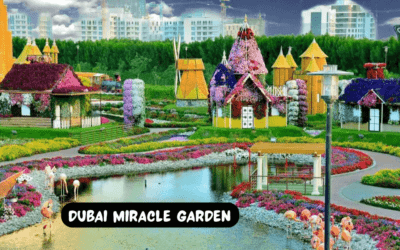 Discovering Dubai Miracle Garden: A Family Adventure