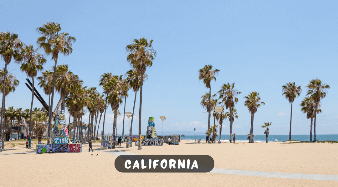 Visiting California: Government Rules and Regulations for Tourists