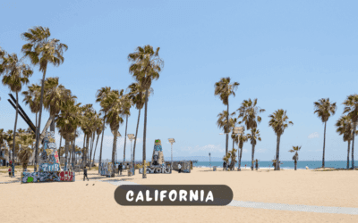 Visiting California: Government Rules and Regulations for Tourists