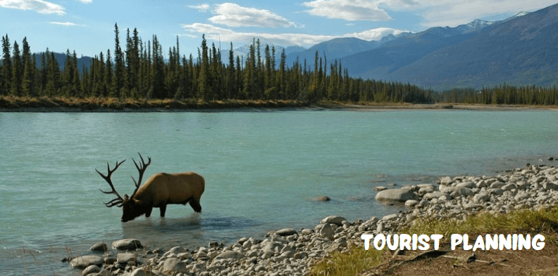 Exploring-Elk-Island-National-Park-Alberta-Canada