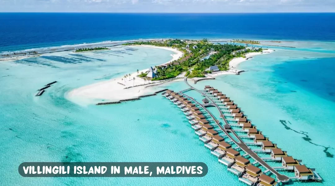 Villingili Island in Male, Maldives: A Tourist Guide