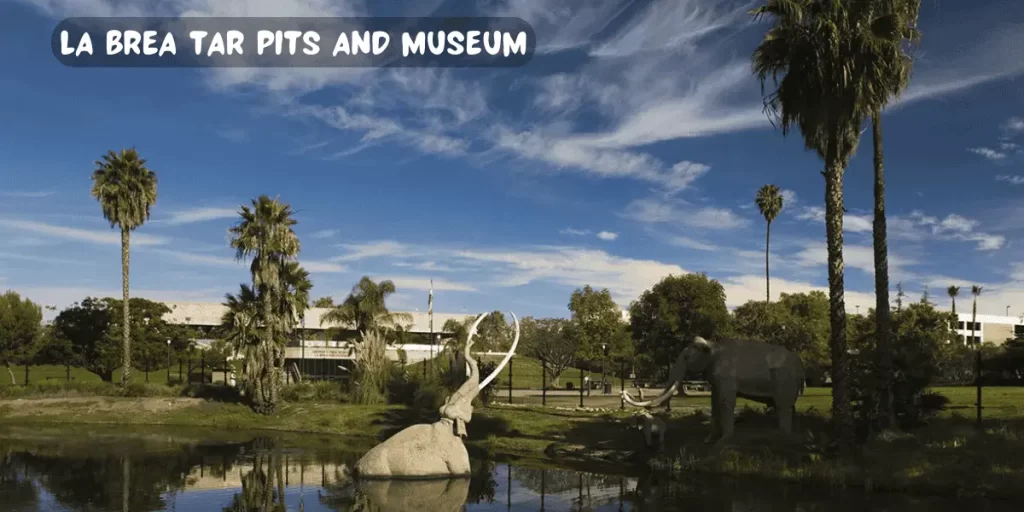 La Brea Tar Pits and Museum – United States