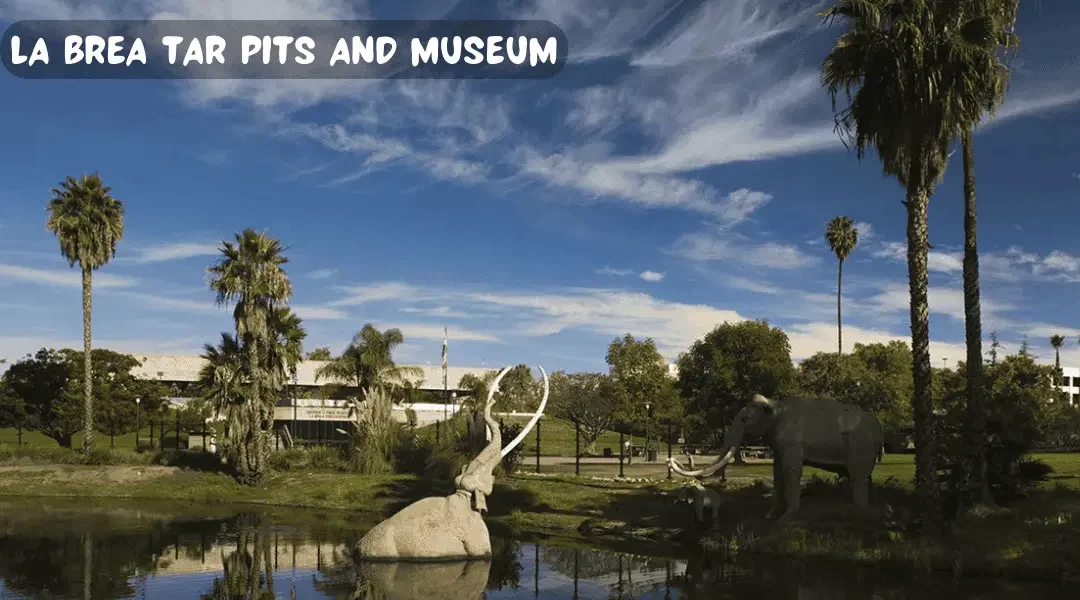 La Brea Tar Pits and Museum – United States